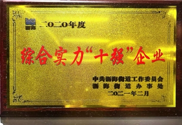 2020 Comprehensive Strength "Top Ten" Enterprise Award